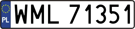 WML71351