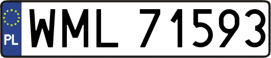 WML71593