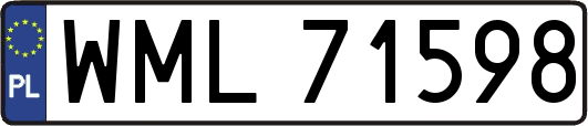 WML71598
