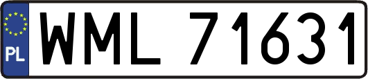 WML71631