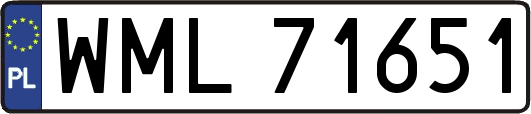 WML71651