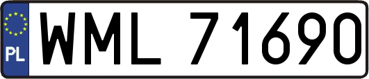 WML71690