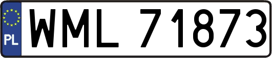 WML71873