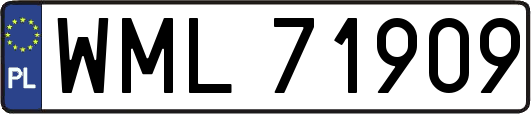 WML71909