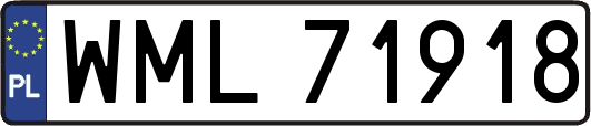 WML71918