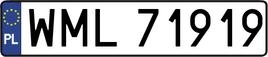 WML71919