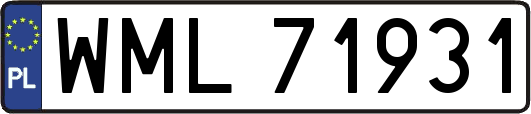 WML71931