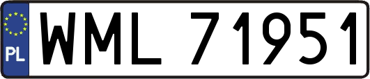 WML71951