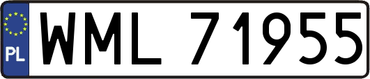 WML71955