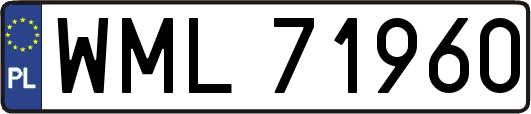 WML71960