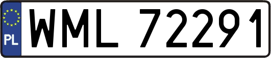 WML72291