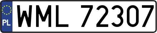 WML72307