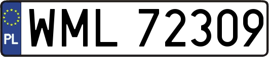 WML72309