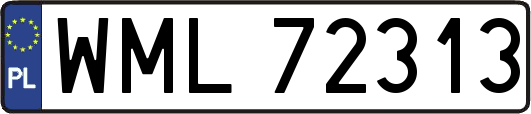 WML72313