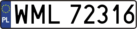 WML72316