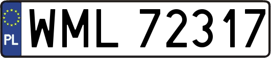 WML72317