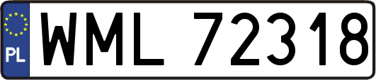 WML72318