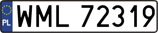 WML72319