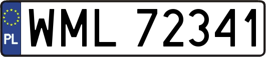 WML72341