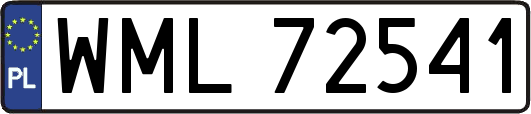 WML72541