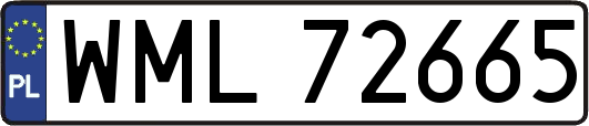 WML72665