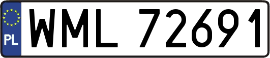 WML72691
