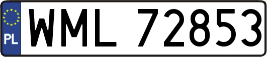 WML72853