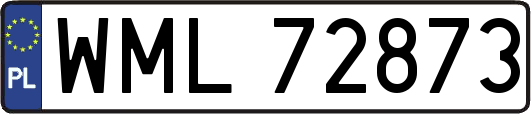 WML72873