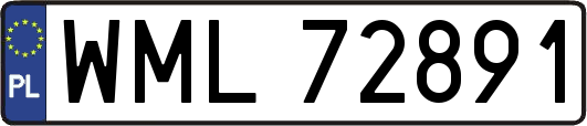WML72891