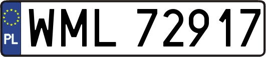 WML72917