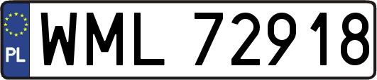 WML72918