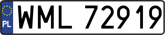 WML72919