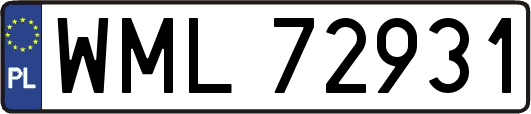WML72931
