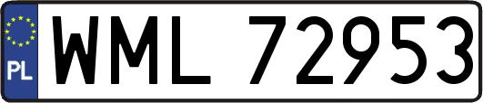 WML72953