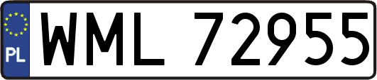 WML72955