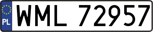WML72957