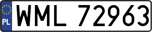 WML72963