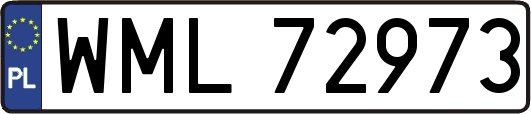 WML72973