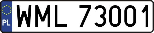 WML73001