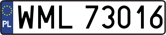 WML73016
