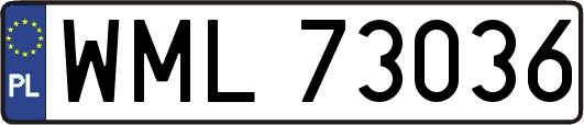 WML73036