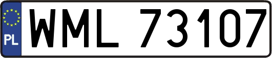 WML73107