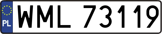 WML73119