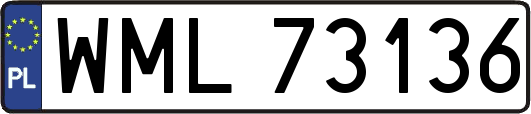 WML73136