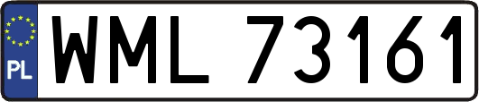 WML73161