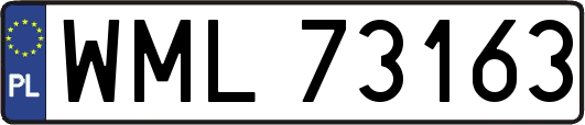 WML73163