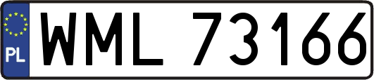 WML73166