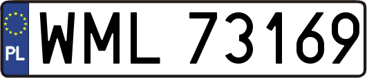WML73169