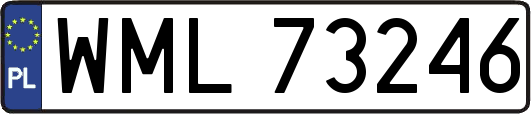 WML73246