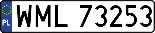 WML73253